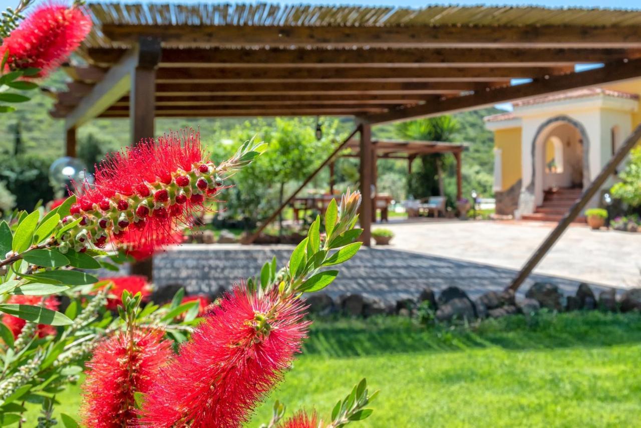 Villa Saige , Piscina Ad Uso Esclusivo, Con Idromassaggio Альгеро Екстер'єр фото